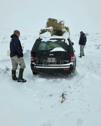 La camioneta de la familia que sufrió un desperfecto técnico