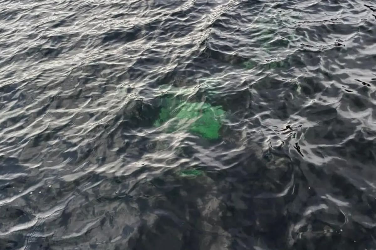 La camioneta que encontraron hundida en el Lago La Plata en Chubut