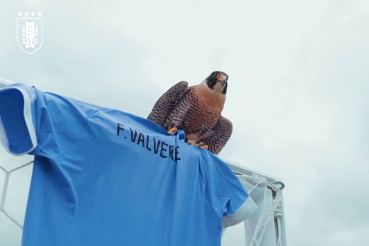La camiseta de Valverde, una de las nuevas figuras de Uruguay, en un arco del tradicional Centenario, en Montevideo