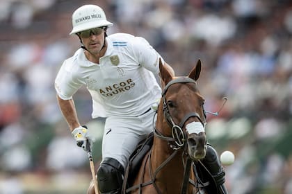 La camiseta especial de La Dolfina por los 100 partidos de esta formación, sin los costados, hombros y mangas azules pero con números y letras dorados y un escudo con las iniciales de los cuatro jugadores y el número 20, por las temporadas del club de Cañuelas en la Triple Corona.