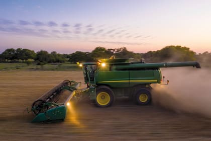 La campaña 21/22 en la Argentina alcanzó un récord de producción de 21,8 millones de toneladas, pero el año próximo se reducirá la superficie cultivada