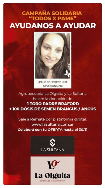 La campaña solidaria