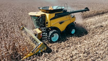 La campaña de maíz estará bajo el efecto de El Niño