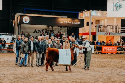 La Campeón Ternera Menor Colorado fue para el Box 16, RP 2264, Expositor “La Juanita”, de Carlos Ojea Rullán y Horacio La Valle y Marta V.M. de La Valle