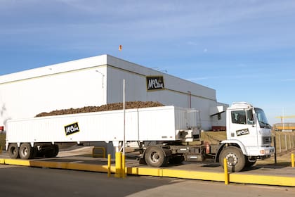 La canadiense McCain llegó al país en la década del '90 y ahora está anunciando una inversión de US$100 millones en su planta de Balcarce
