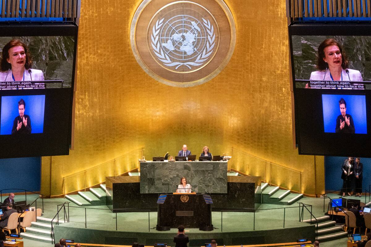 La canciller Diana Mondino en su exposición ante el plenario de la ONU