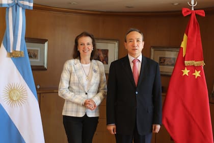 La canciller Diana Mondino recibió al embajador chino, Wang Wei