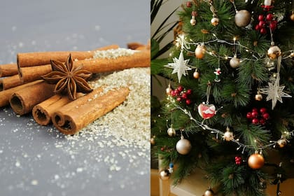La canela es una especia muy utilizada en Navidad por sus beneficios energéticos (Pexels/NgânDương-Mareefe)