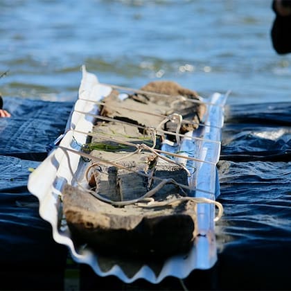 La canoa de 3000 años de antigüedad