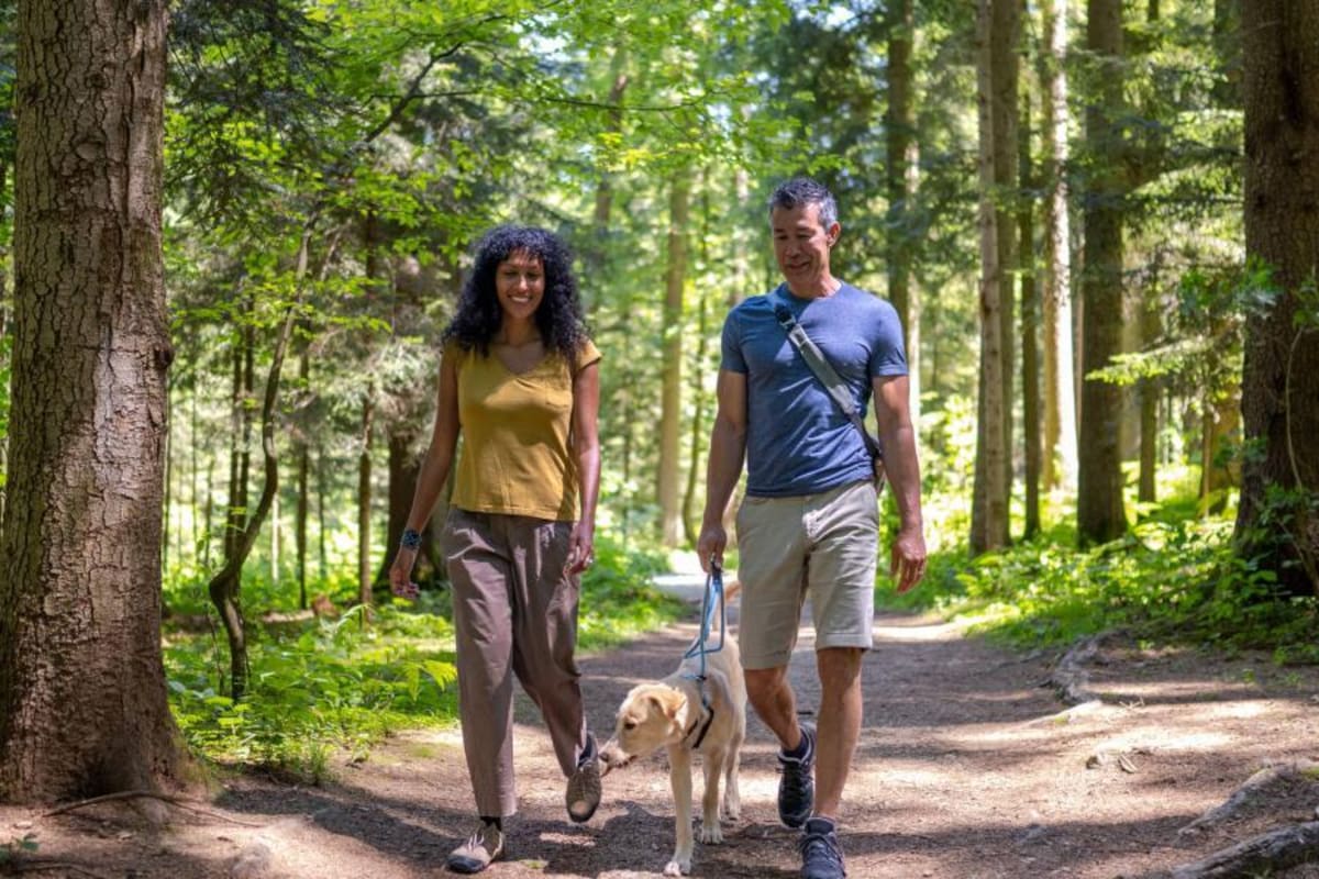 La cantidad de caminatas semanales para estar saludables ha disminuido según un reciente estudio