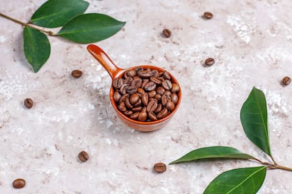 La capa de café que se aplica en las macetas no debe ser demasiado gruesa para evitar la acumulación de humedad excesiva y la proliferación de hongos