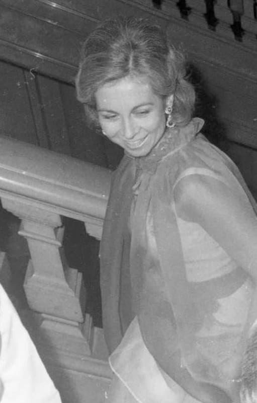 La capa semitransparente de gasa de seda roja que llevaba la reina Sofía fue sustraída en algún momento de la ceremonia en el Concejo Deliberante de Buenos Aires, el 27 de noviembre de 1978
