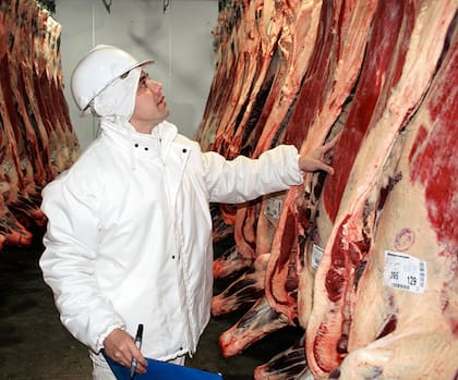 La capacidad de faena de Ecocarnes es de entre 800 y 900 cabezas diarias; sin embargo, precisó que durante el último mes la faena había caído a unas 300 cabezas por día