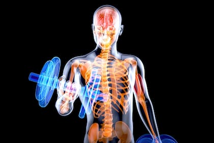 La capacidad intrínseca puede abarcar todos los aspectos de la salud, desde la fuerza hasta la agudeza de los pensamientos