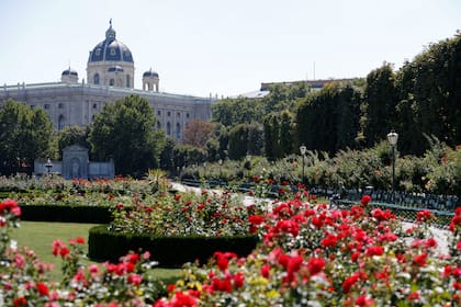 La capital austríaca es, hoy, considerada la mejor ciudad para vivir.