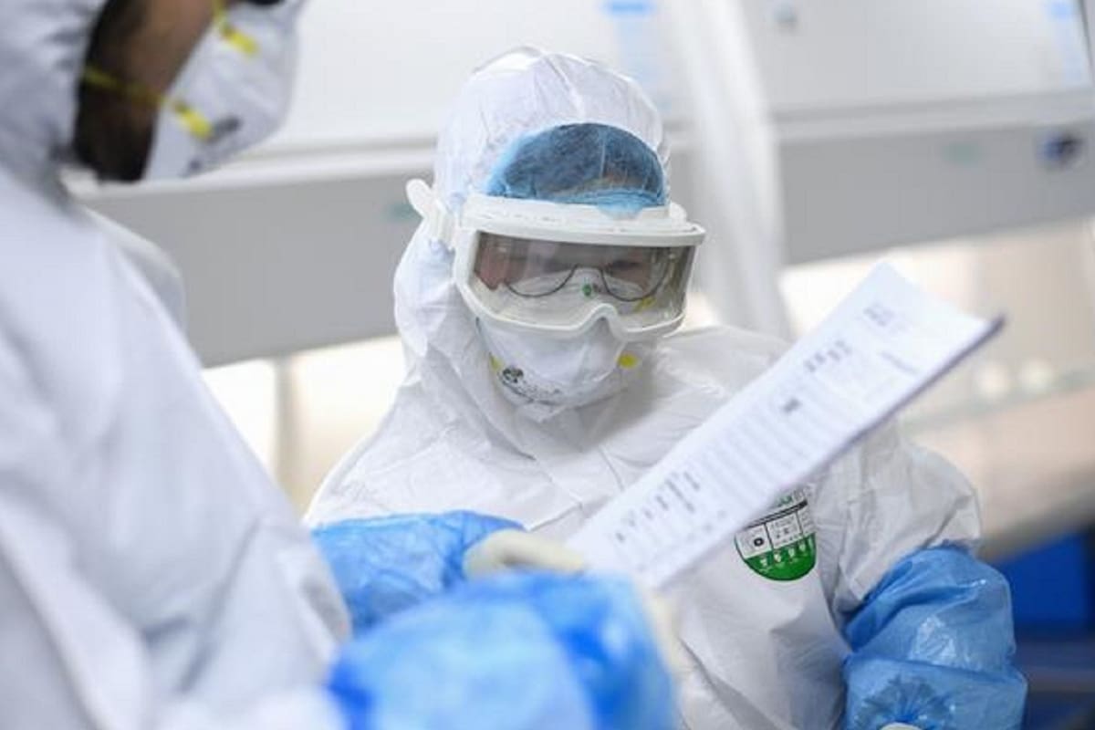 La capital de Corea del Sur hará pruebas gratuitas de coronavirus a los perros y gatos si entran en contacto con humanos infectados y muestran síntomas.