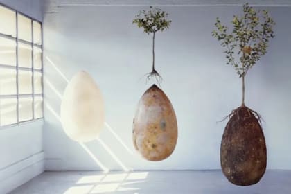 La cápsula biodegradable que apunta a generar consciencia en las personas