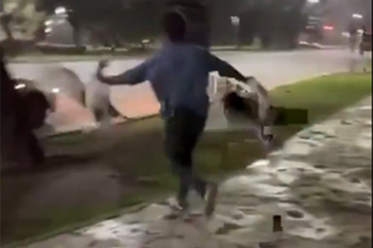La captura de dos gansos de los lagos de Palermo fue filmada y viralizada