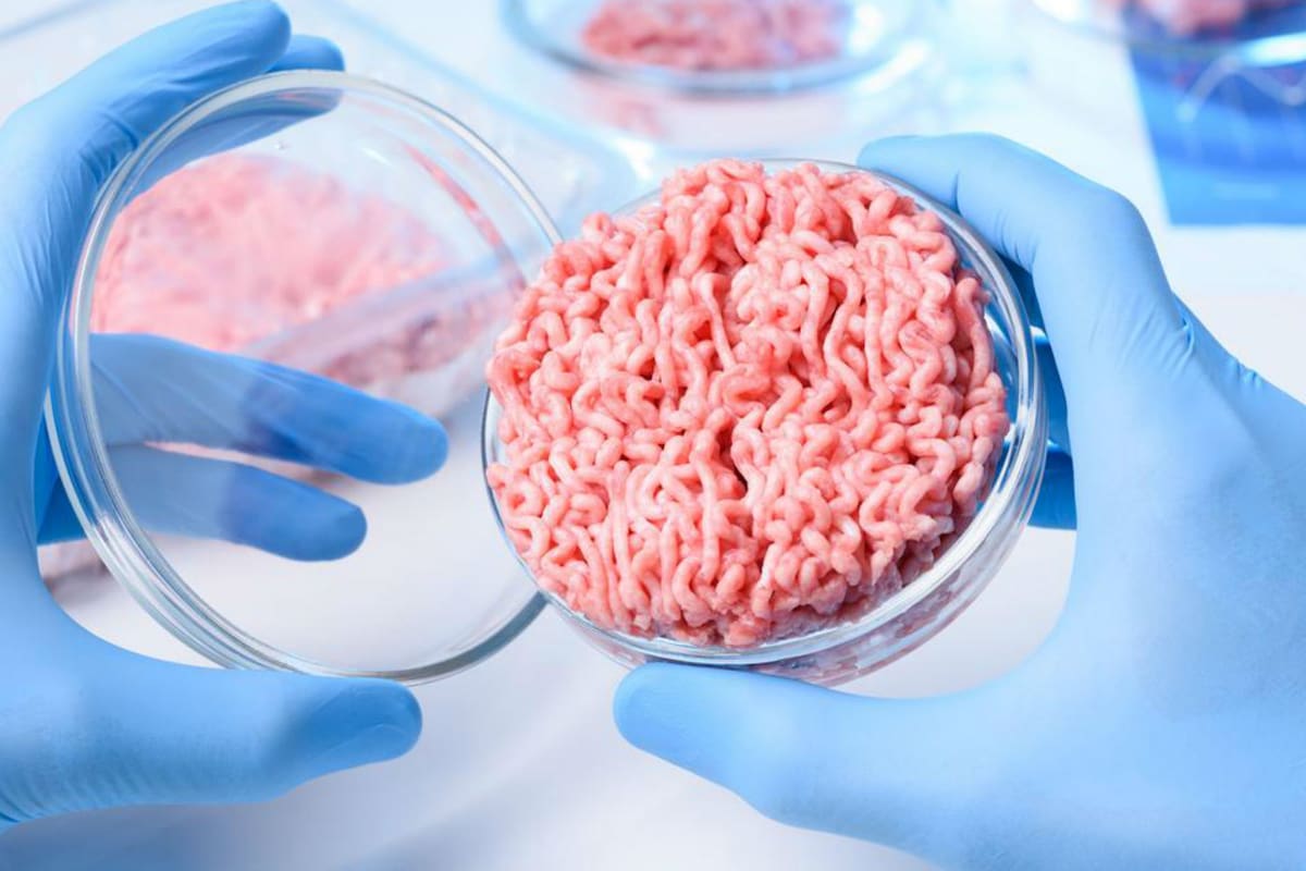 La carne artificial presenta desafíos para el sector de la producción