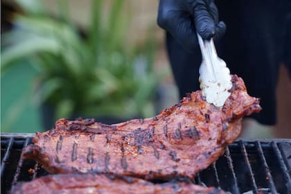 La carne cruda alberga todo tipo de bacterias, incluidas E. coli, Campylobacter y Salmonella