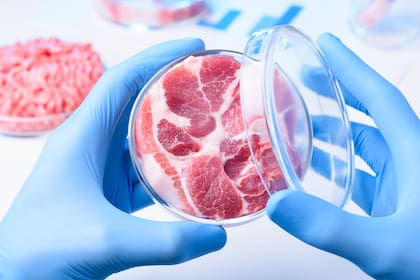 La carne de laboratorio es una realidad cada vez más próxima