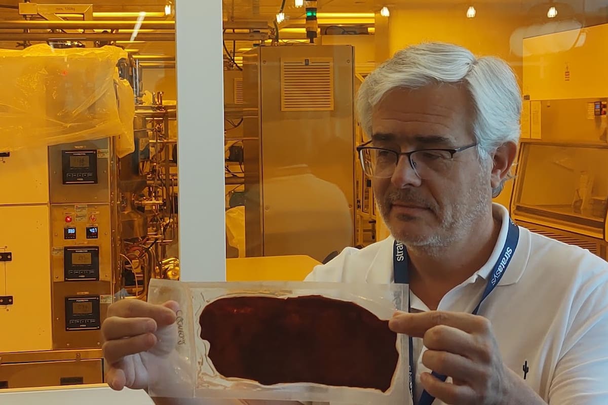 La carne sintética, otro desarrollo