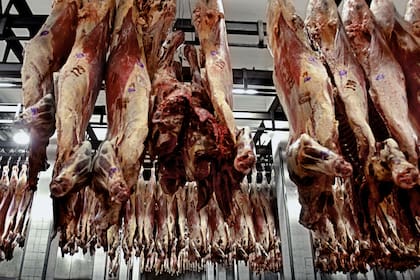La carne vacuna está recuperando volúmenes de exportación a los que había llegado 20 años atrás