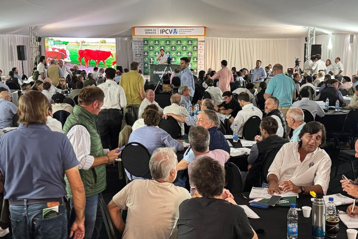 La carpa de remates, a pleno en la subasta de Colombo y Magliano