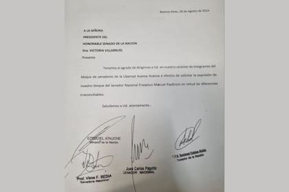La carta del bloque de LLA que informa la expulsión de Francisco Paoltroni