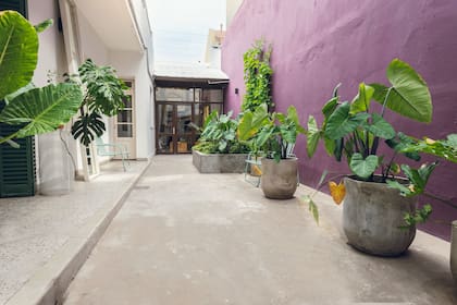 La casa chorizo que antecedía al taller se convirtió en un espacio para corte y peinados: el pasillo conecta los espacios con color y plantas