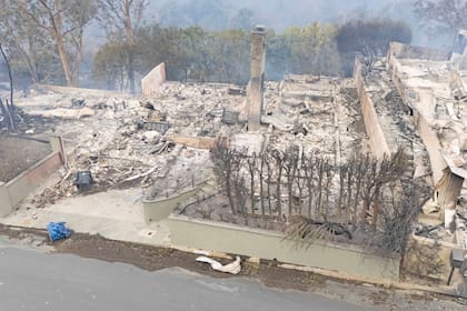 La casa de Eugene Levy fue una de las propiedades que quedaron completamente destruidas en el devastador incendio forestal en Pacific Palisades. El fuego arrasó con varias residencias en la exclusiva zona de Los Ángeles, dejando un rastro de destrucción y pérdidas significativas