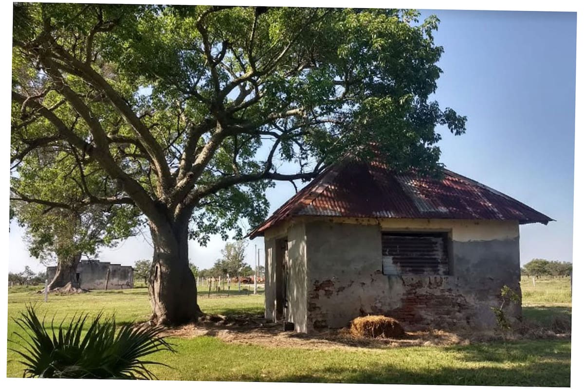 La casa de "huéspedes" donde funcionó una estación radiotelegráfica secreta dentro de la estancia El Simbol, cerca de Las Avispas, provincia de Santa Fe