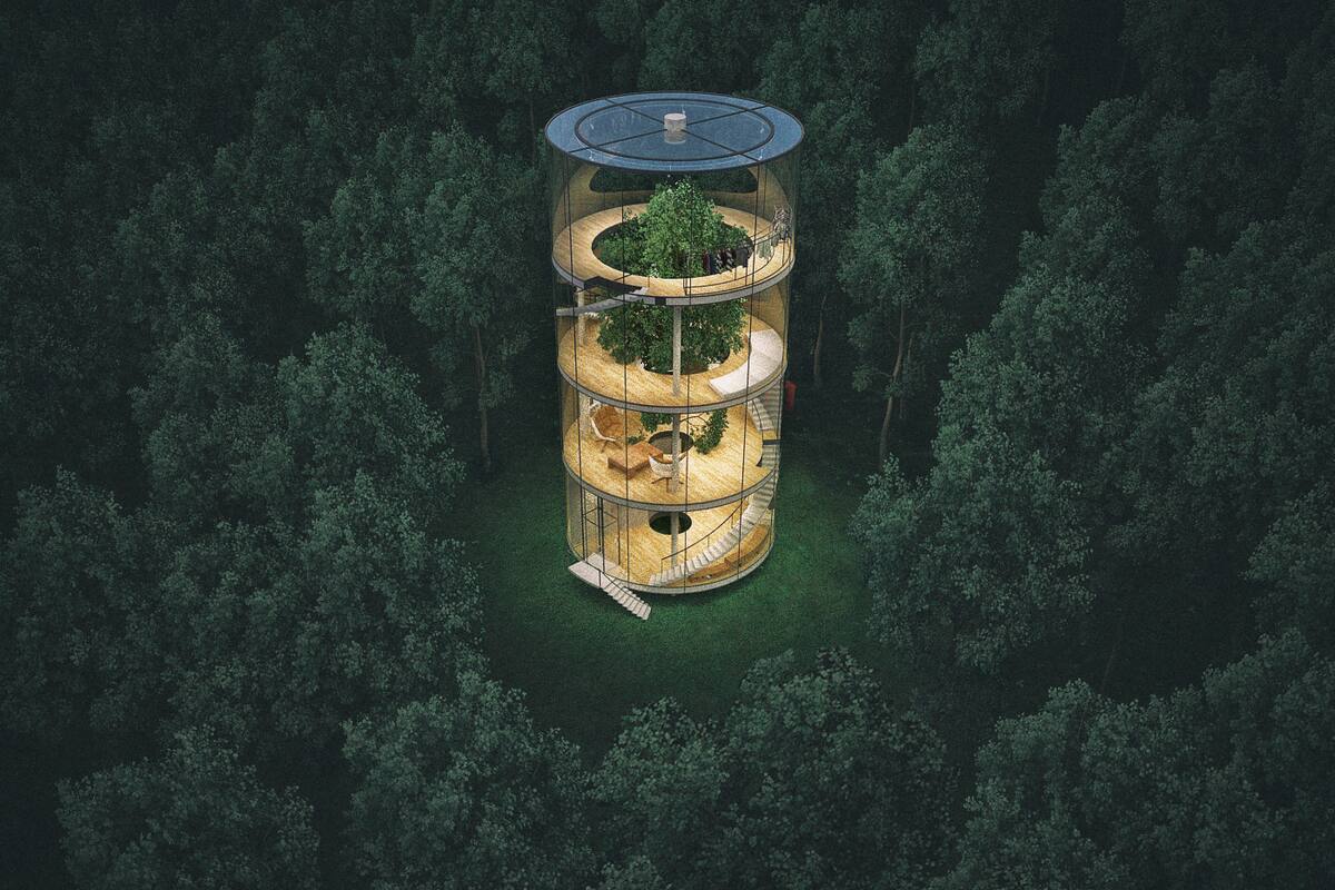 La casa de vidrio está emplazada en el medio de un bosque