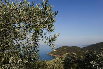La casa está en una colina en la región de Liguria, Italia.