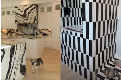 La casa incorpora un cuarto exclusivo para los perros, con materiales que continúan la estética de la piscina