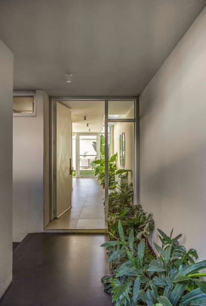 La casa plantea, de entrada, una conexión ininterrumpida con el verde