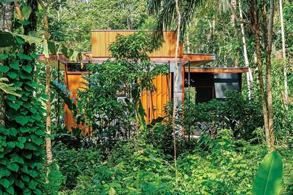 Arquitectura moderna que emerge de la naturaleza.