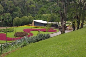 La casa tiene dos jardines bien diferenciados: uno con formas curvas, y otro, geométrico.