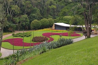 Burle Marx, el paisajista brasileño que hacía arte con plantas