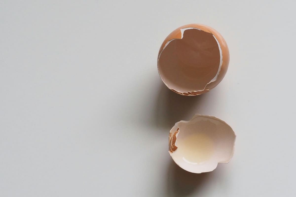 La cáscara de huevo no debe sumarse en el aceite para preparar otras comidas, según los especialistas (imagen ilustrativa)