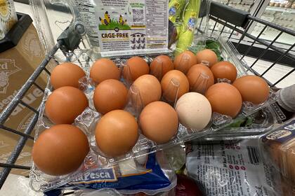 La cáscara del huevo permite un intercambio con el exterior, según aclaró la especialista