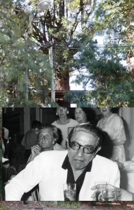 La casona Castillo que Aristóteles Onassis perdió jugando al póker