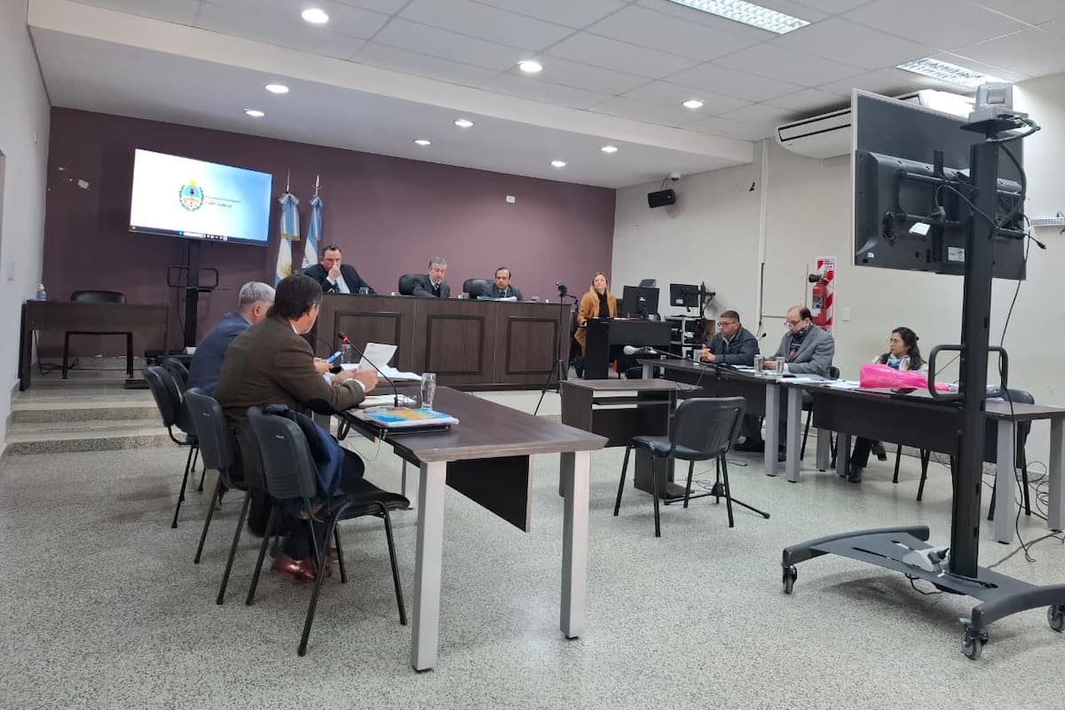 La causa incluyó auditorías internas, análisis comerciales y reconstrucciones de traslados bovinos