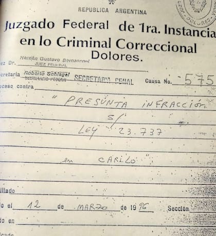 La causa Nº 575 hablaba de un circuito de narcotráfico en el jet set argentino