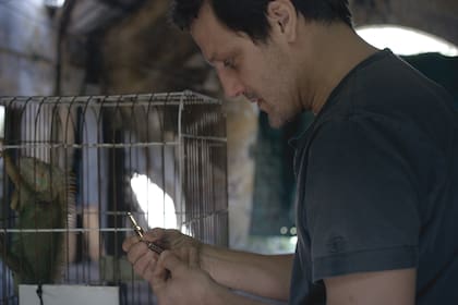 La caza furtiva y el tráfico de animales son los ejes de una historia que se rodó en apenas cuatro semanas