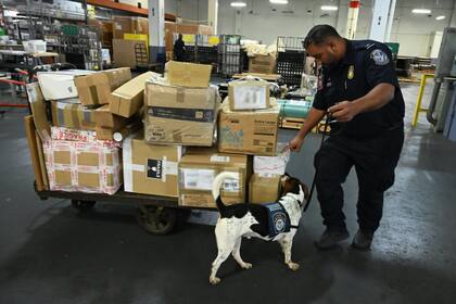 La CBP advirtió que los compradores pueden ser estar sujetos a sanciones o multas si adquieren productos falsificados