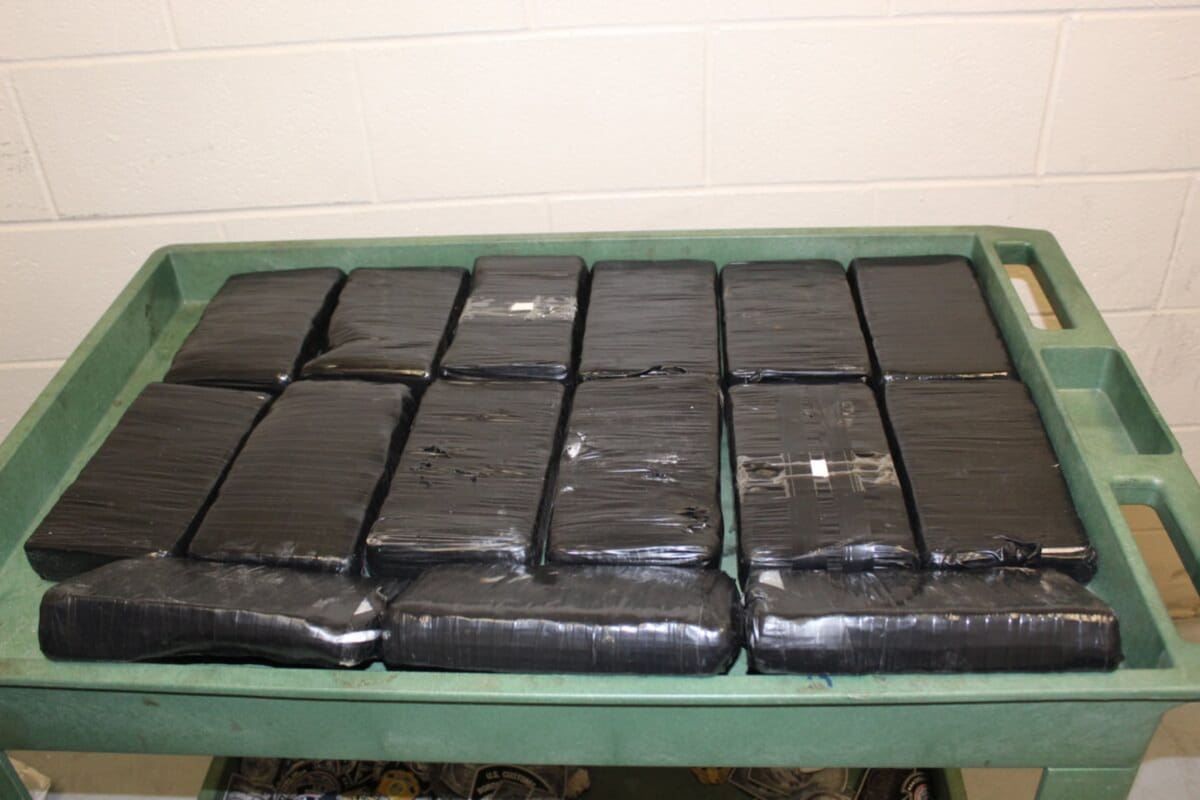 La CBP detuvo un cargamento que quería ingresar disimulado como algodón de azúcar