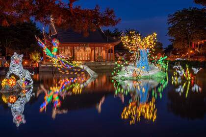 La celebración de la "magia de las linternas" en honor a la cultura oriental es un gran festejo del parque a comienzos de otoño.