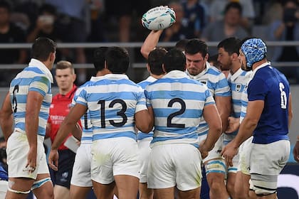 La celebración de los Pumas, tras el try de Guido Petti