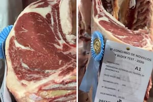Cumple 60 años la entidad de una raza francesa que tiene en su carne un espectacular atributo